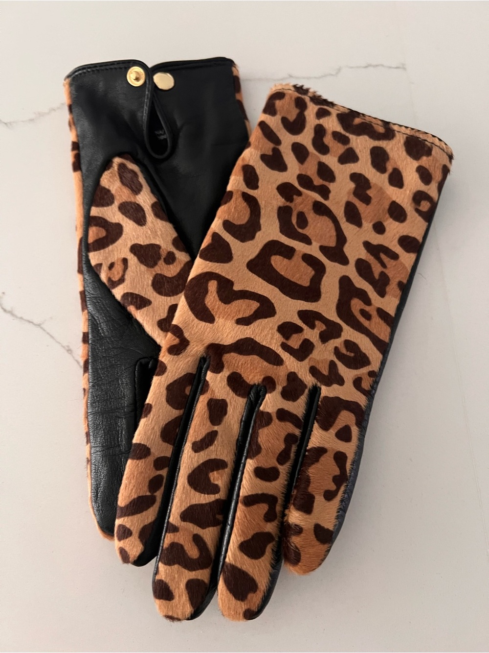Club Monaco Leopard Print Wool Cashmere and Leather Women's Gloves